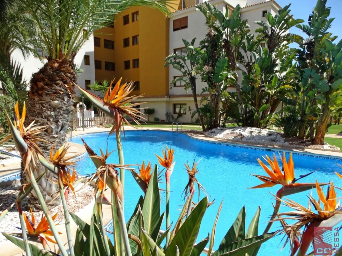 Apartamento Eleonor, La Entrada, Punta Prima, 또레비에하 외부 사진