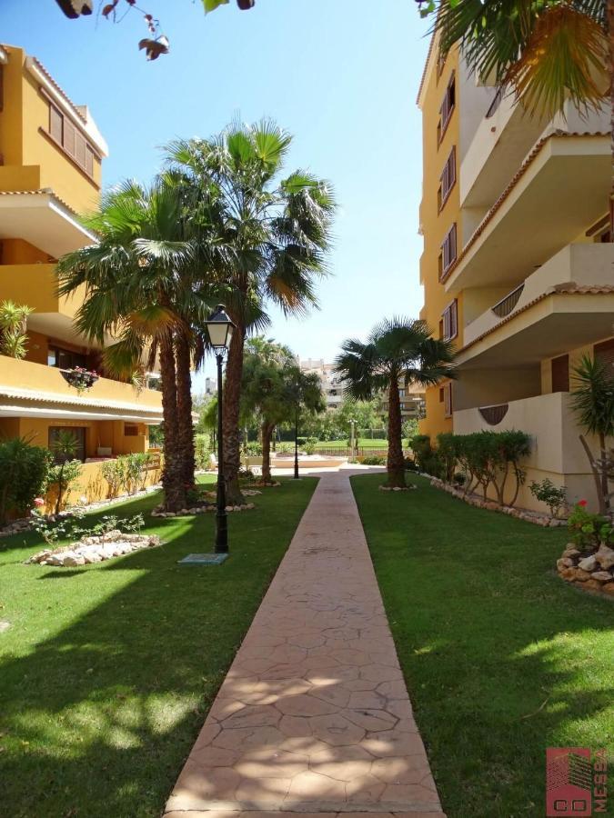 Apartamento Eleonor, La Entrada, Punta Prima, 또레비에하 외부 사진